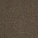 Enjoy The Moment II 12 in Sage - Carpet by Shaw Flooring