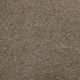 Whisper in Composure - Carpet by Lexmark Carpet