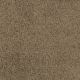 Key West in Woodacres - Carpet by Masland Carpets