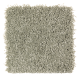 Lifetime Achievement in Grass Roots - Carpet by Mohawk Flooring