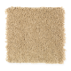 Exclusive Content II in Kindling - Carpet by Mohawk Flooring