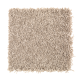 Brilliant Design in Rum Cake - Carpet by Mohawk Flooring