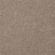 Newport in Beach Pebble - Carpet by Shaw Flooring