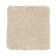 Elegant Appeal I in Desert Dust - Carpet by Mohawk Flooring