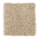Serene Touch in Vanilla Steam - Carpet by Mohawk Flooring