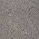Majority Rules in Terrace - Carpet by Shaw Flooring