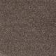 All Star Weekend II 12' in Molasses - Carpet by Shaw Flooring