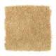 Truly Tender III in Gold Nugget - Carpet by Mohawk Flooring