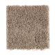 Famous Fair in Longhorn - Carpet by Mohawk Flooring