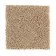 Bright Future in Driftwood - Carpet by Mohawk Flooring