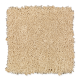 Comfortable Creation I in Natural Grain - Carpet by Mohawk Flooring
