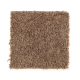 Top Card in Rich Mahogany - Carpet by Mohawk Flooring