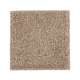 Nature's Appeal I in Mushroom Cap - Carpet by Mohawk Flooring