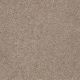 From The Heart II in Travertine - Carpet by Shaw Flooring