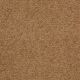 Patriot in Auger - Carpet by Masland Carpets