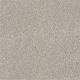 You Know It in Greige - Carpet by Shaw Flooring
