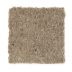 Emerging Image III in Buckskin - Carpet by Mohawk Flooring