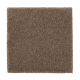 Organic Beauty I in Nutmeg - Carpet by Mohawk Flooring