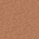 Secluded Oasis in Sweet Nectar - Carpet by Mohawk Flooring