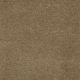 Panache in Iron - Carpet by Masland Carpets