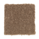 Stylish Story III in Dakota - Carpet by Mohawk Flooring