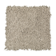 Global Allure II in Desert Sage - Carpet by Mohawk Flooring