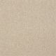 Highland Cove II 15 in Ecru - Carpet by Shaw Flooring