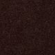Briceville II in Coffee - Carpet by Shaw Flooring