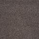 Majority Rules in Fudge Ripple - Carpet by Shaw Flooring