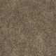 Distinction in Townhouse - Carpet by Shaw Flooring