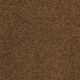 Patriot in Montego - Carpet by Masland Carpets