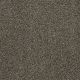 Izzy in Cocoa Bean - Carpet by Shaw Flooring