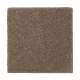 Urban Grandeur in Pine Cone - Carpet by Mohawk Flooring