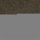 Bright Spirit III 12' in Tropic Vine - Carpet by Shaw Flooring