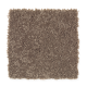 Santorini Style II in Cat Tail - Carpet by Mohawk Flooring