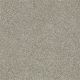 Inspiring in Gray Flannel - Carpet by Shaw Flooring