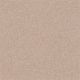 Second Glance in Rose Cider - Carpet by Shaw Flooring