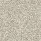 Delicate Distinction Classic I in Cricket Club - Carpet by Shaw Flooring