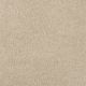 Key West in Alphano - Carpet by Masland Carpets