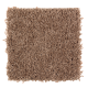 Lifetime Achievement in Pine Cone - Carpet by Mohawk Flooring