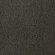 Living Legacy in Ivy League - Carpet by Mohawk Flooring