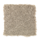 American Dream in Homespun - Carpet by Mohawk Flooring