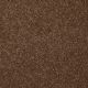 Highland Cove III 15 in Toasty - Carpet by Shaw Flooring