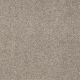 Sandy Hollow I 15' in Chinchilla - Carpet by Shaw Flooring