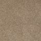 Sandy Hollow Classic III 12' in Mojave - Carpet by Shaw Flooring