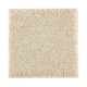 Nature's Appeal II in Soft Linen - Carpet by Mohawk Flooring