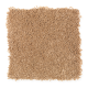 Comfortable Creation II in Spiced Tea - Carpet by Mohawk Flooring