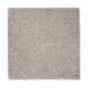 Pure Imagery in Mindful Grey - Carpet by Mohawk Flooring