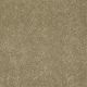 Murphy in Maple Glaze - Carpet by Shaw Flooring
