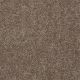 Briceville II in Candied Truffle - Carpet by Shaw Flooring